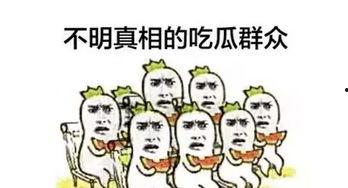 华为有没有吃瓜群众,揭秘“吃瓜群众”眼中的科技巨头