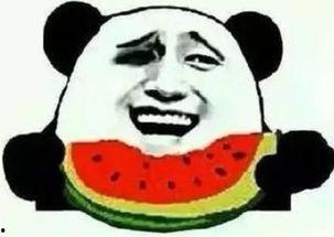 狗头吃瓜群众图片,趣味横生的网络现象解析