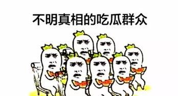 吃瓜群众的小萌新,揭秘娱乐圈那些不为人知的幕后故事