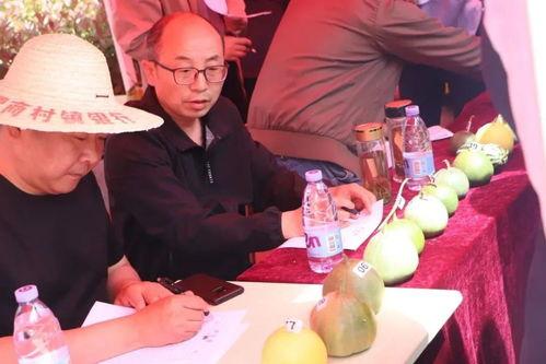 吃瓜群众济宁,揭秘当地美食与趣闻