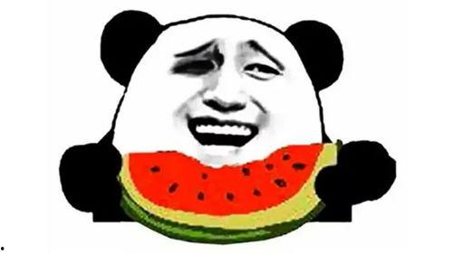 沙雕吃瓜群众绿幕视频,揭秘沙雕吃瓜群众的奇幻吃瓜之旅