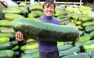 不做吃瓜群众要自己种瓜,实践自我成长之旅