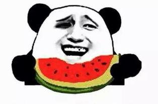 吃瓜群众的姿势,揭秘吃瓜群众独特姿势背后的故事