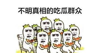 什么叫吃瓜群众图文,网络时代的围观者与传播者