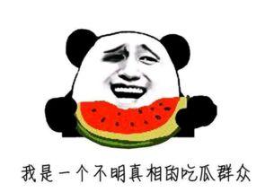 关于群众吃瓜的视频