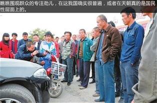 朱庄吃瓜群众事件,一场网络舆论的风暴与反思