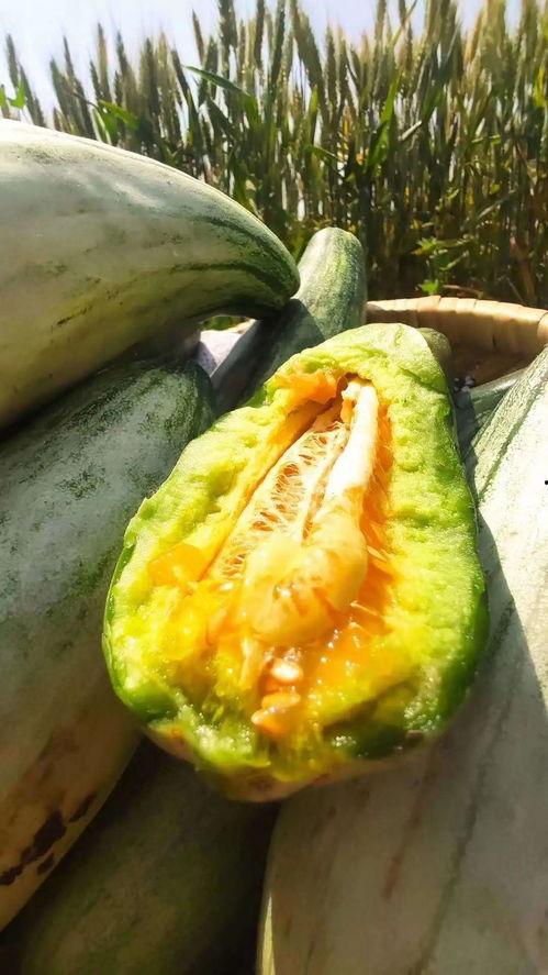 安静群众吃瓜视频