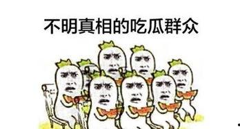 网络语 吃瓜群众,网络时代的围观力量